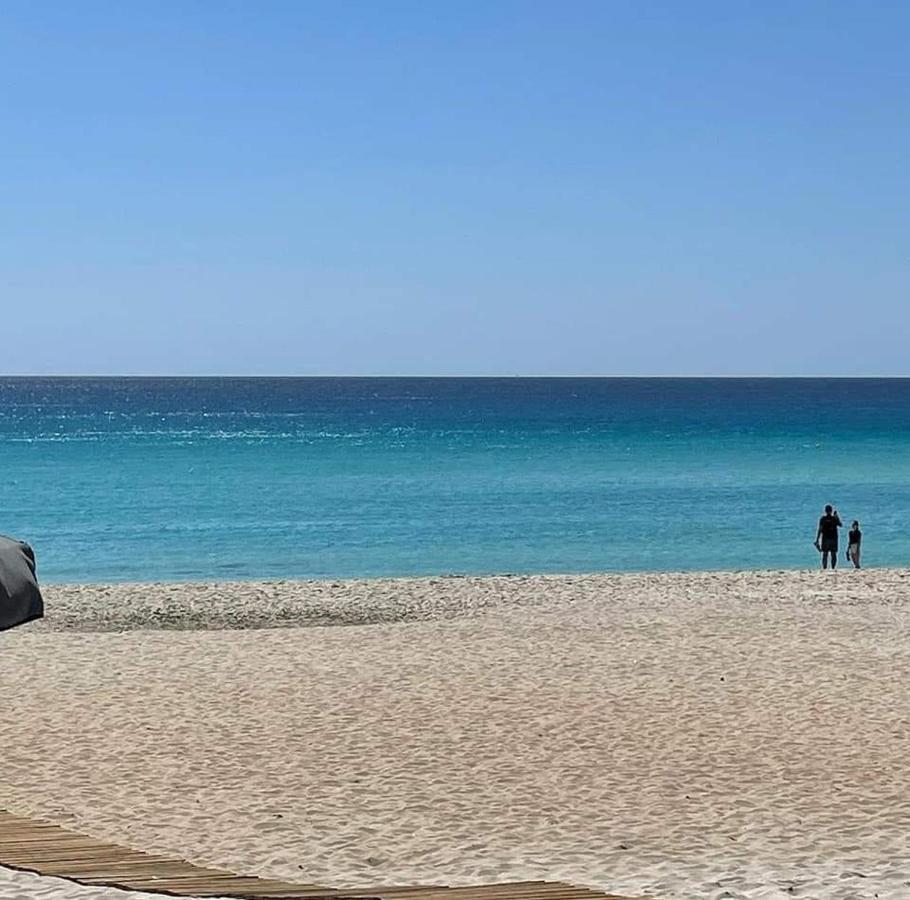 Nissi Golden Sands Sunny Apartment A1D4 Αγία Νάπα Εξωτερικό φωτογραφία