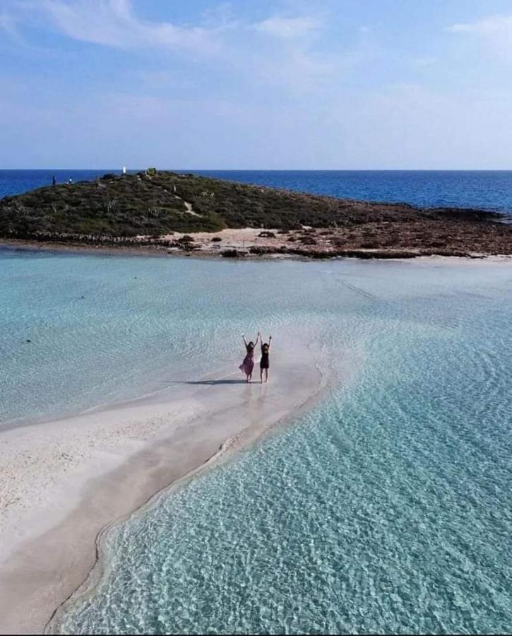 Nissi Golden Sands Sunny Apartment A1D4 Αγία Νάπα Εξωτερικό φωτογραφία
